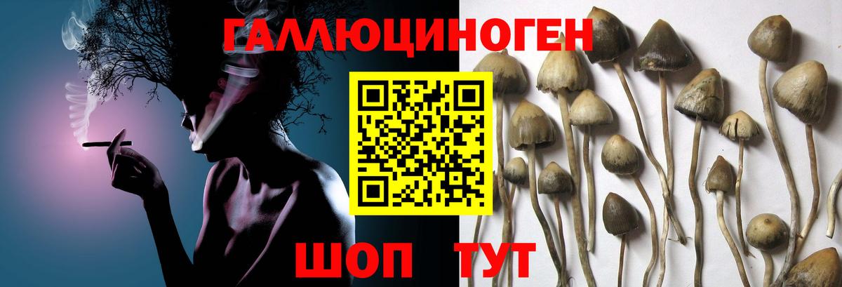 Галлюциногенные грибы Cubensis  Галлюциногенные грибы Psilocybe  Вход с VPN  Верхняя Салда 